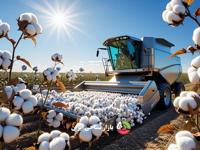 ماشین برداشت پنبه در زمین کشاورزی برداشت مکانیزه پنبه