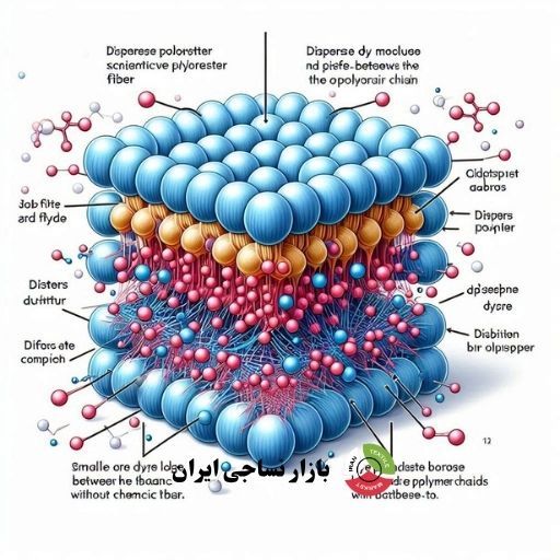 رنگرزی الیاف مصنوعی با دیسپرس نمای میکروسکوپی از نفوذ رنگ دیسپرس در پلیاستر